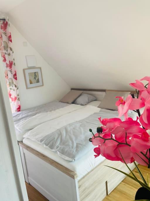 Apartment Scholle Steinbeck Recke Экстерьер фото